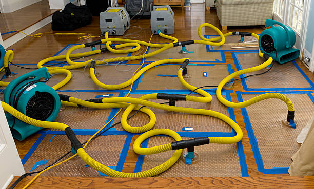 Professional Sewage Cleanup technician working in Lorton, VA